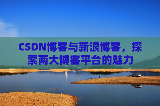 CSDN博客与新浪博客，探索两大博客平台的魅力